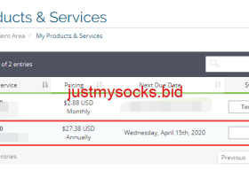 2025 年最新 Just My Socks 使用教程